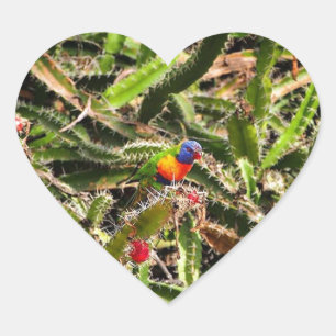 Rainbow Lorikeet in Kakteen Herzklebkleber Herz-Aufkleber
