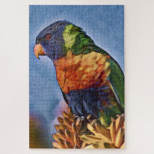 Rainbow Lorikeet Parrot Bird