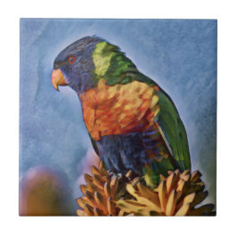 Rainbow Lorikeet Parrot Bird Fliese
