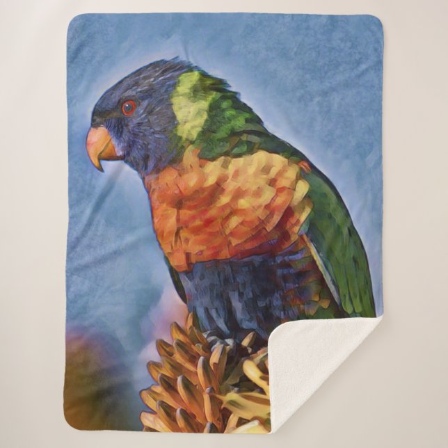 Rainbow Lorikeet Parrot Bird Sherpadecke (Vorderseite)