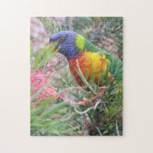 Rainbow Lorikeet Puzzle