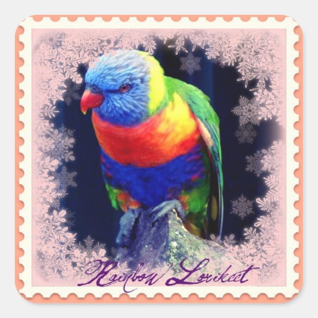 RAINBOW LORIKEET QUADRATISCHER AUFKLEBER (Vorderseite)