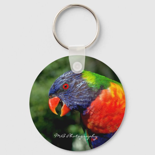 Rainbow Lorikeet Schlüsselanhänger (Vorderseite)