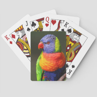 Rainbow Lorikeet Spielkarten
