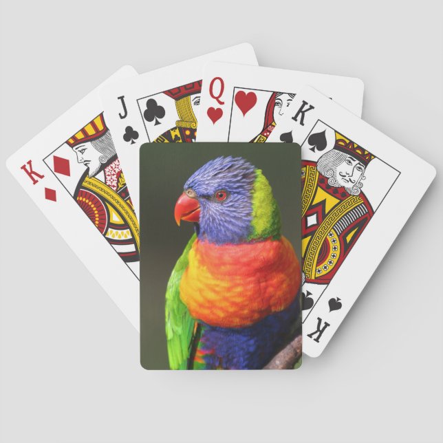 Rainbow Lorikeet Spielkarten (Rückseite)