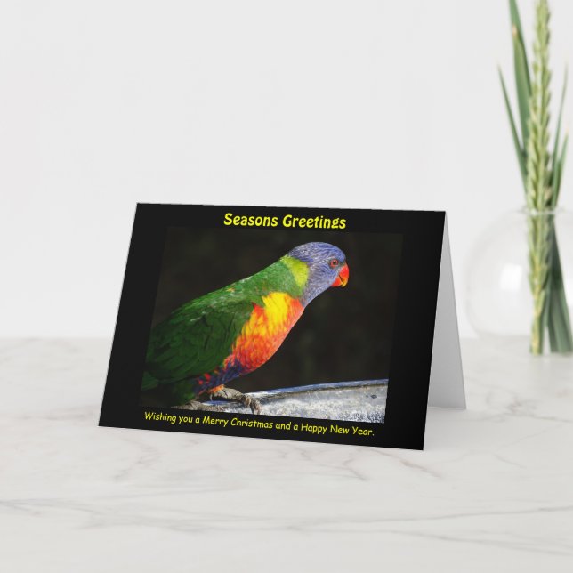 Rainbow Lorikeet Xmas Card Feiertagskarte (Vorderseite)