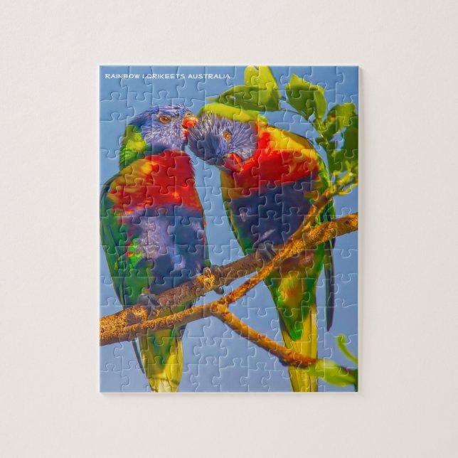 Rainbow Lorikeets Australien (Vertikal)