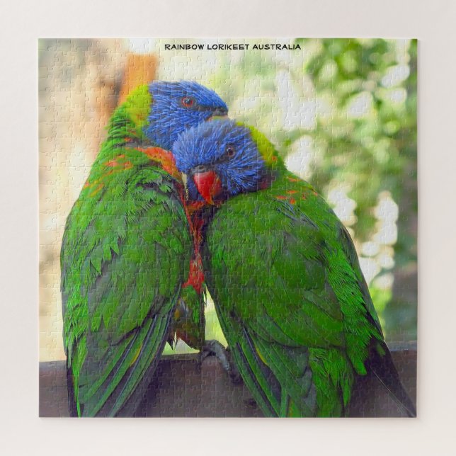 Rainbow Lorikeets Australien (Vertikal)
