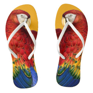 Rainbow Macaw Parrot Lover Bold und Summery Flip Flops