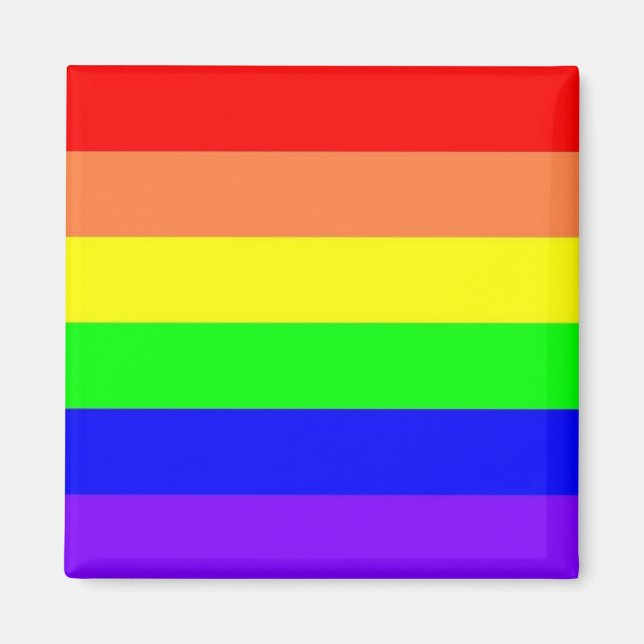 Rainbow Magnent Magnet (Vorne)