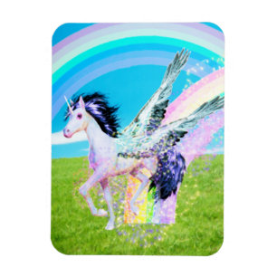 Rainbow Maker Magnet