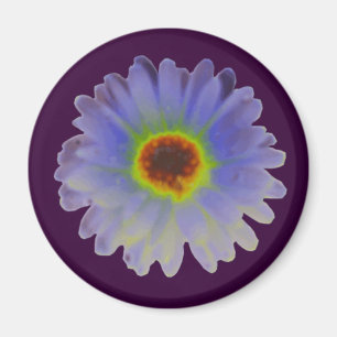 Rainbow Marigold Magnet
