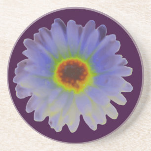 Rainbow Marigold Untersetzer