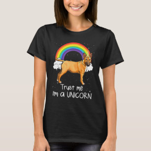 Rainbow Miniature Bull Terrier Vertrau Mir Ich Bin T-Shirt