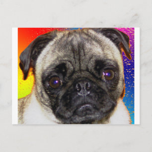 Rainbow Mops Postkarte