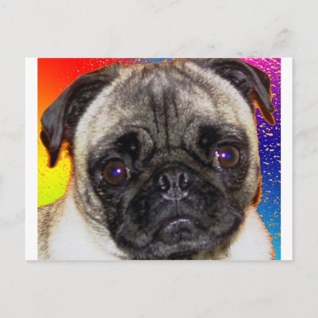 Rainbow Mops Postkarte (Vorderseite)