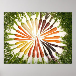 Rainbow Multicfarbene Carrots Rectangle Poster