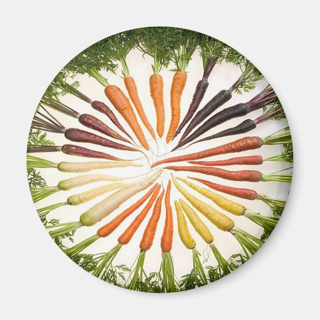 Rainbow Multicolored Carrots Magnet (Vorne)