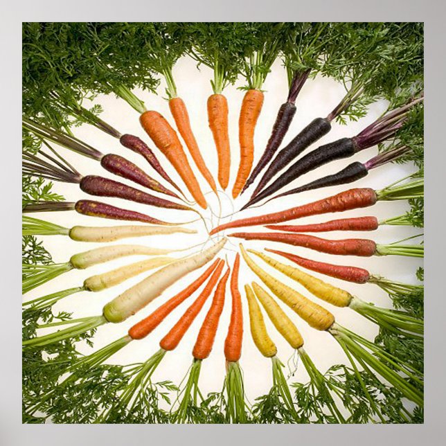 Rainbow Multicolored Carrots Square Poster (Vorne)