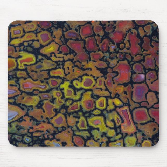 Rainbow Petrified Dinosaurier Bone Mousepad (Vorne)