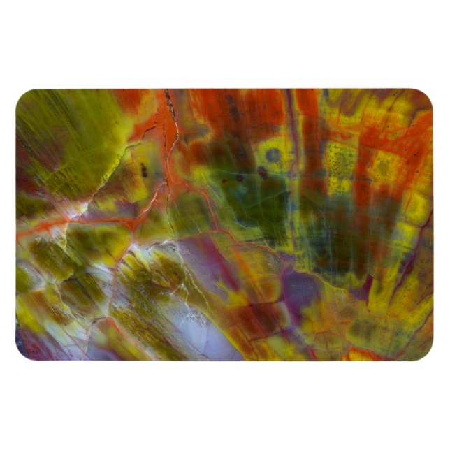 Rainbow Petrified Wood Magnet (Horizontal)