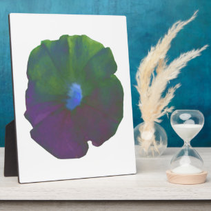 Rainbow Petunia Plaque Fotoplatte