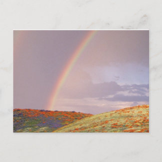 Rainbow Postkarte