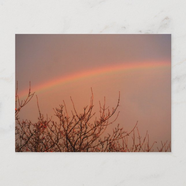 Rainbow Postkarte (Vorderseite)