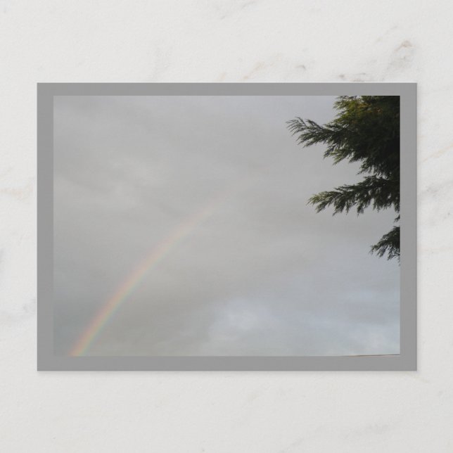 Rainbow Postkarte (Vorderseite)