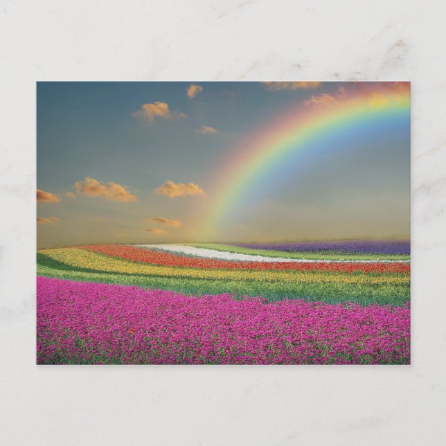 Rainbow Postkarte (Vorderseite)