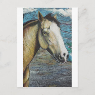 Rainbow Postkarte