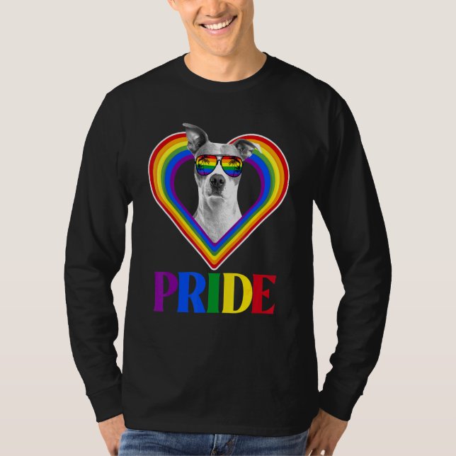 Rainbow Pride T-Shirt (Vorderseite)