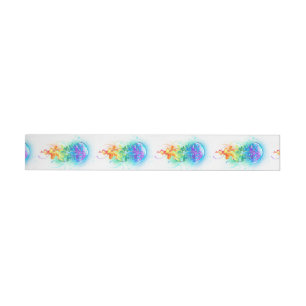 Rainbow-Qualle