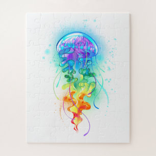 Rainbow-Qualle