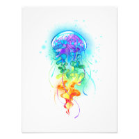 Rainbow-Qualle