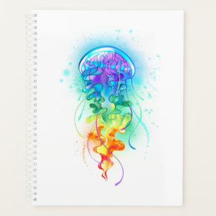 Rainbow-Qualle Planer