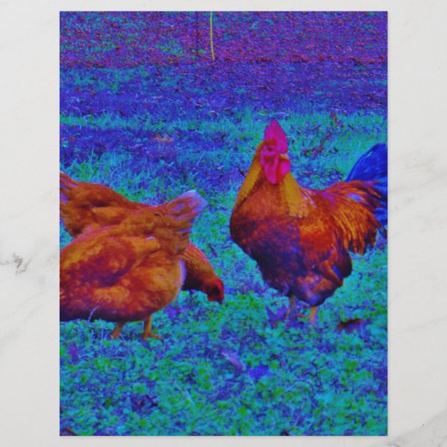 Rainbow Rooster & Hens, Electric Blue (Vorderseite)
