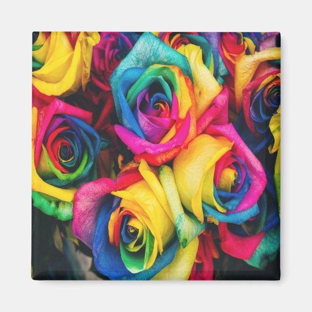 Rainbow Rose Bouquet Magnet (Vorne)