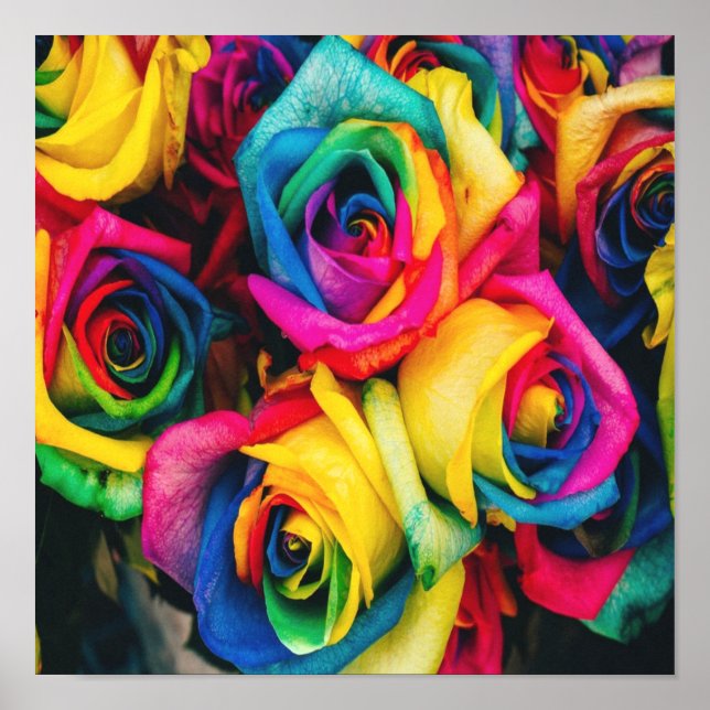 Rainbow Rose Bouquet Poster (Vorne)