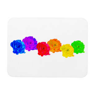 Rainbow-Rose Magnet