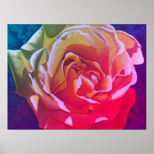 Rainbow-Rose - Poster