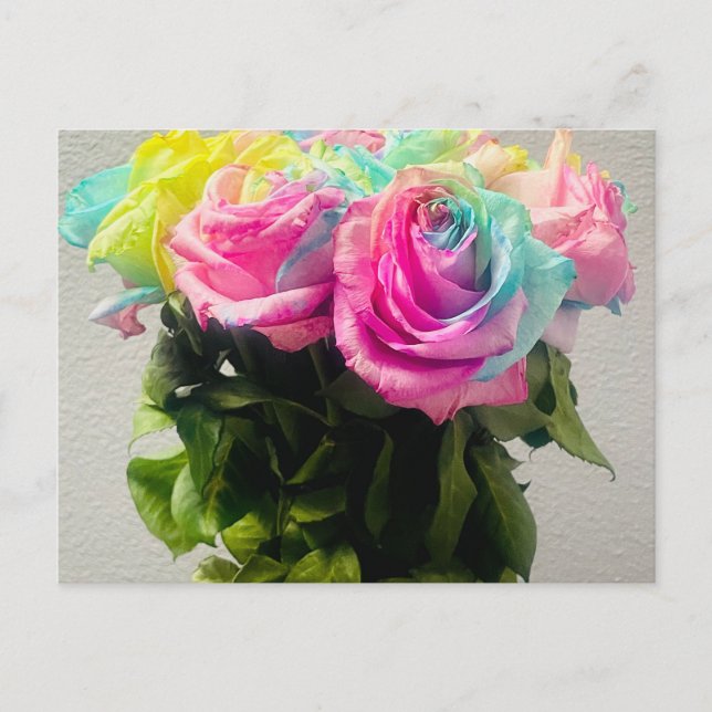Rainbow-Rose Postkarte (Vorderseite)