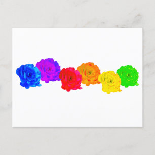 Rainbow-Rose Postkarte