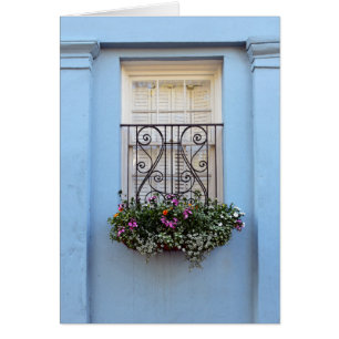 Rainbow Row Window Blume Box, Charleston, S.C.