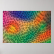 Rainbow-Scales-Poster