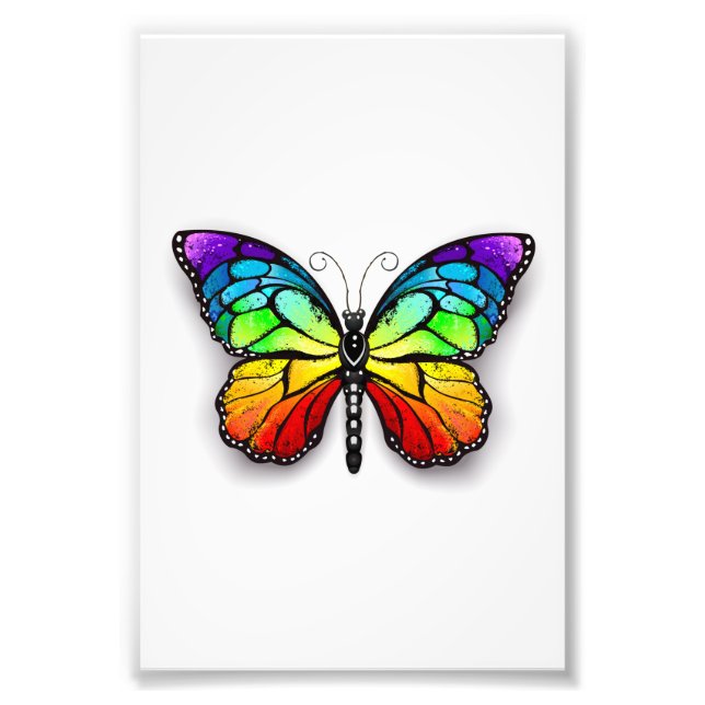 Rainbow-Schmetterling Monarch Fotodruck (Vorne)