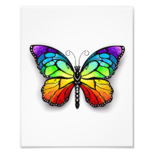 Rainbow-Schmetterling Monarch Fotodruck