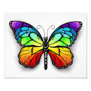 Rainbow-Schmetterling Monarch Fotodruck