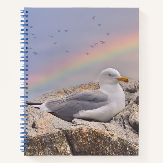 Rainbow Seagull Notizbuch (Vorderseite)