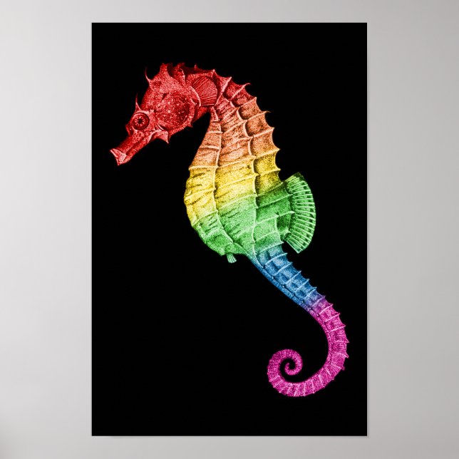 Rainbow-Seepferd Poster (Vorne)